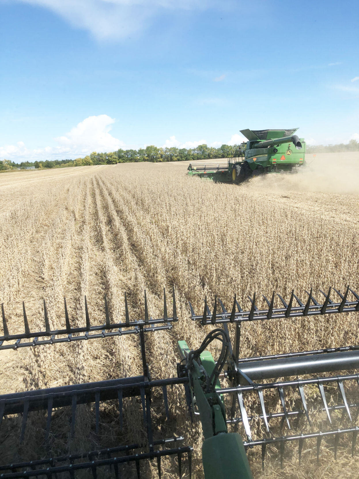 Combining beans.jpg